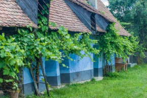 Experience Transylvania Viscri 129